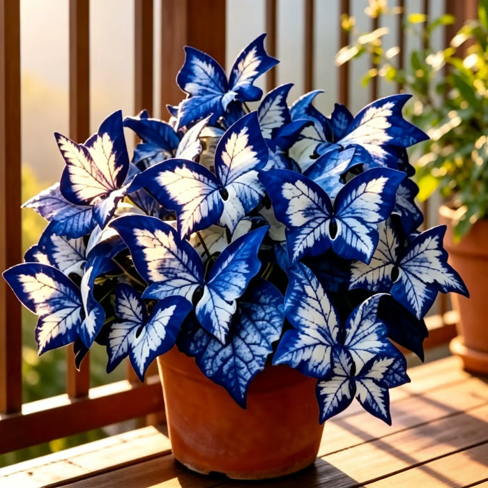 LAST DAY: BUY 3 GET 2 FREE🍃Rare Hosta Seeds🌿Survival rate of up to 95%